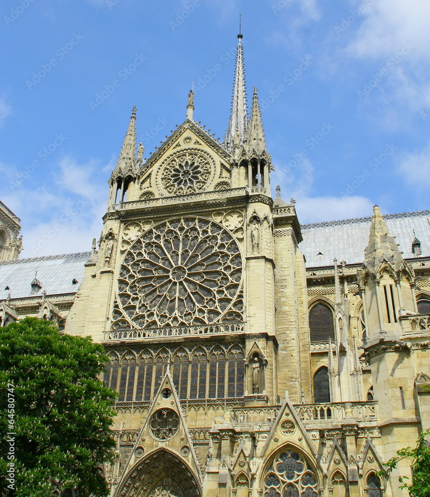 Fototapeta premium cathédrale 