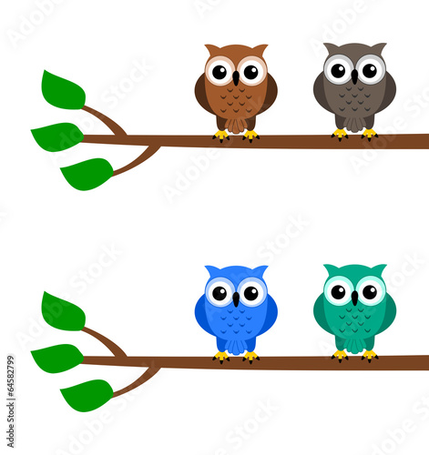owls on a branch