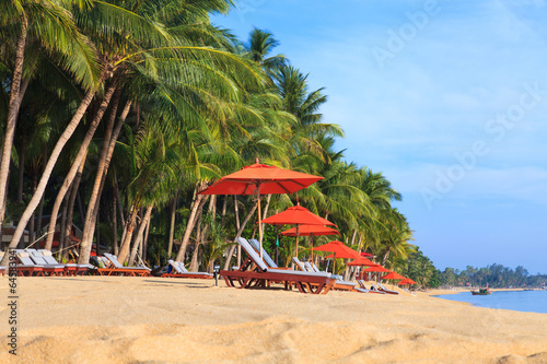 Fototapeta Naklejka Na Ścianę i Meble -  Tropical beach