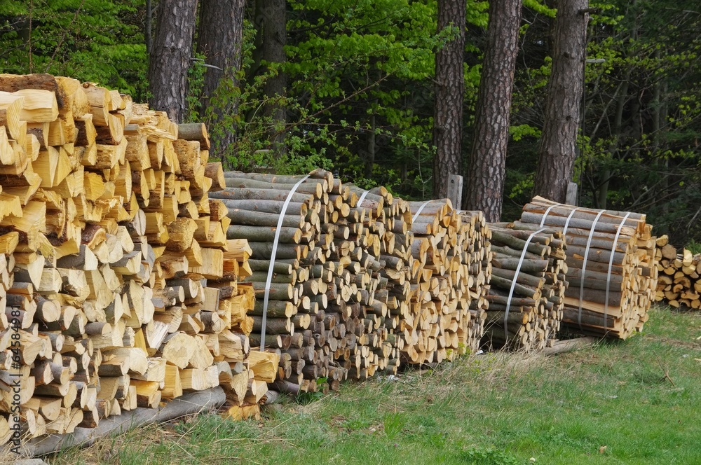 Holzstapel - stack of wood 48