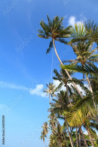 Tropical beach