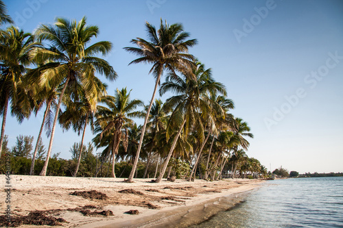 Playa Larga beach, Bay of Pigs,  Cuba,  America