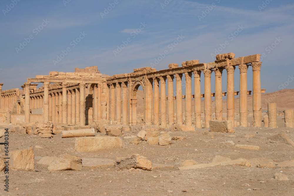 Obraz premium ruins of palmyra