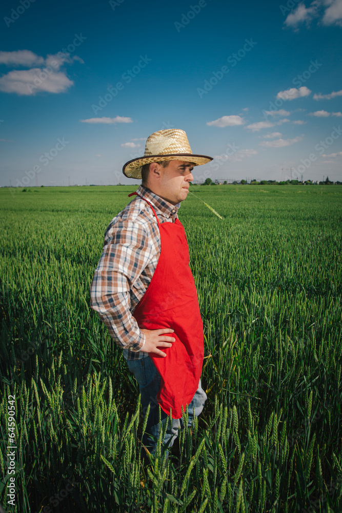 farmer in field farmer in field