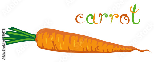 Carrot