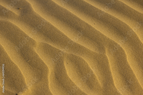 Close-up of sand ripples at sunset