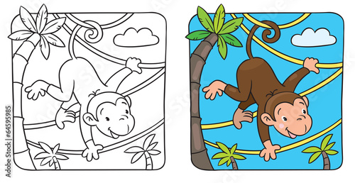 Little funny monkey on lians
