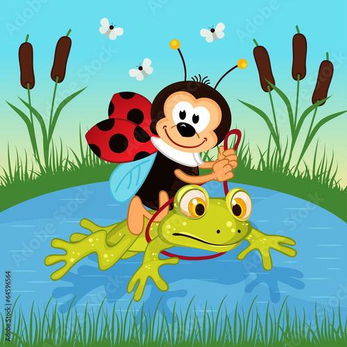 Fototapeta Naklejka Na Ścianę i Meble -  ladybug riding on frog  - vector illustration