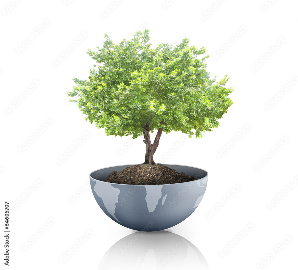 green plant on the Earth,globe green plant on the Earth,globe