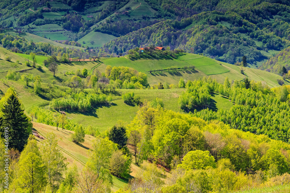 Spring landscape,hills and meadow,Holbav,Transylvania,Romania