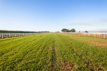 Horse Racing Training Track