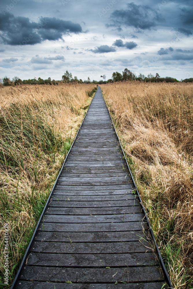 Stormy sky landscape over wetlands in countryside with boardwalk