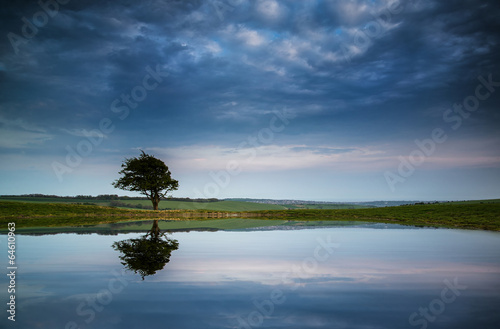 Dramatic stormy sky reflected in dew pond countryside landscape