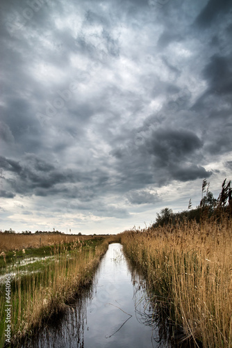 Stormy sky landscape over wetlands in countryside