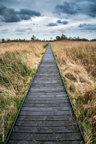 Stormy sky landscape over wetlands in countryside with boardwalk