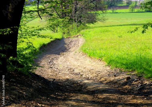 Path in the meadow - Tymbark photo