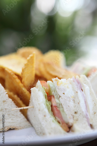 Club sandwich with on wood background