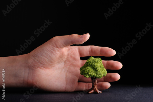 1本の木と人間の手