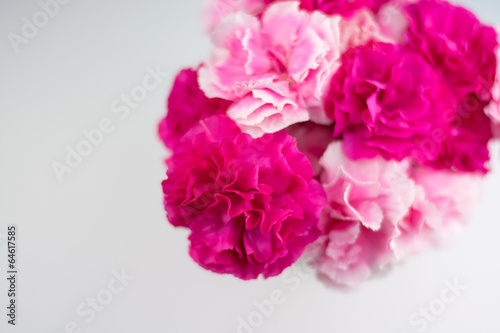 カーネーション