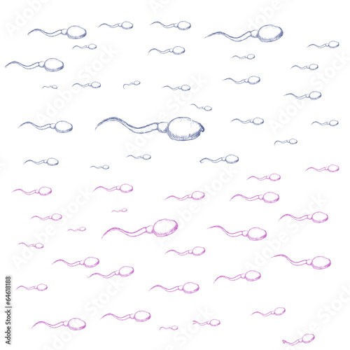 Illustration of sperm