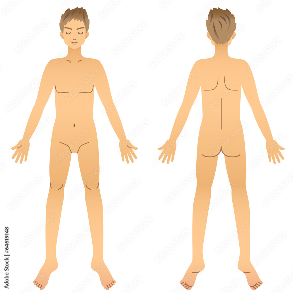 男性 体 全身 Stock Vector Adobe Stock