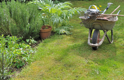 brouette dans jardin