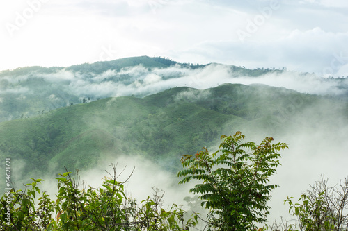 View of forest on Morning Mist at Tropical Mountain Range after