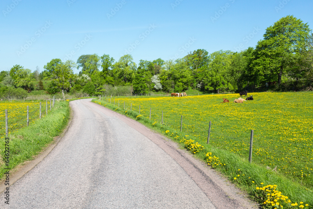 Winding country road