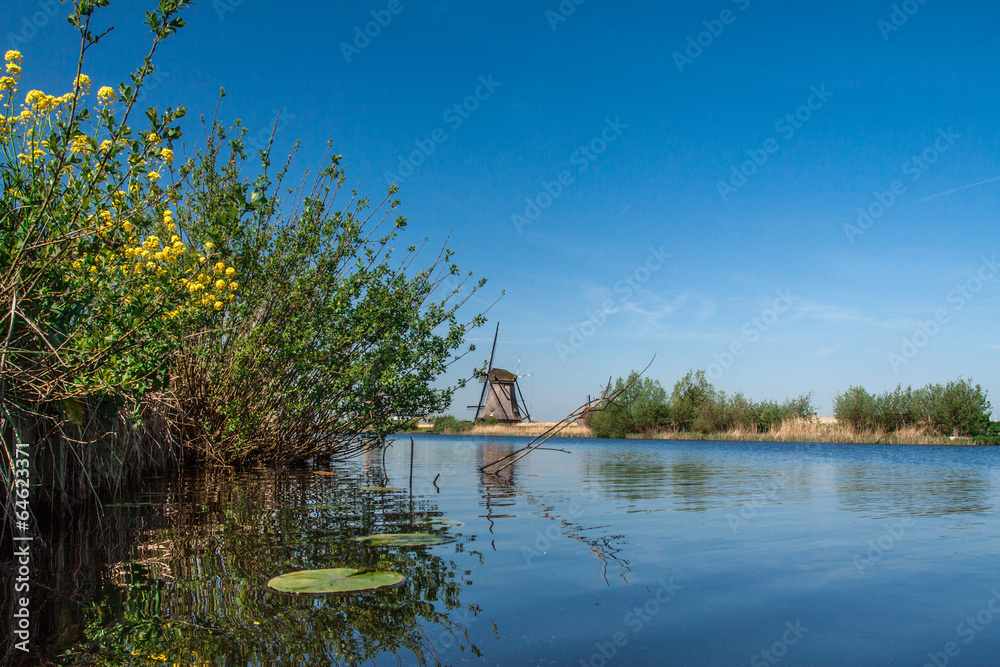 Obraz premium Die Mühlen von Kinderdijk