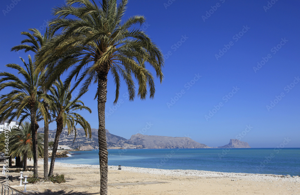 Palm and Beach Altea Costa Blanca Spain