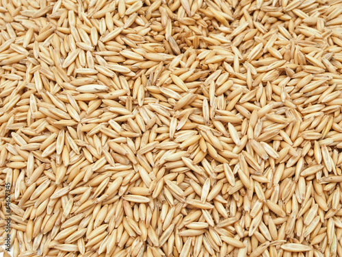 oat grains