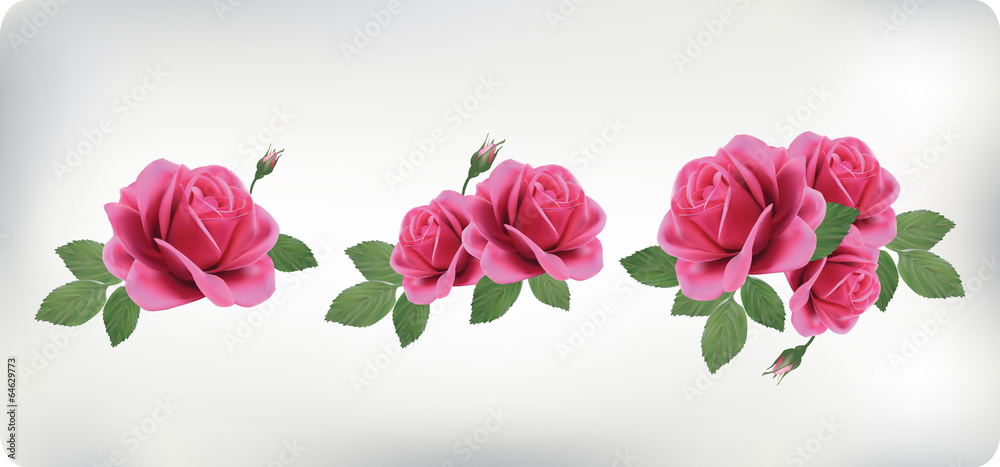 Set of bouquets of roses, can be used as greeting card