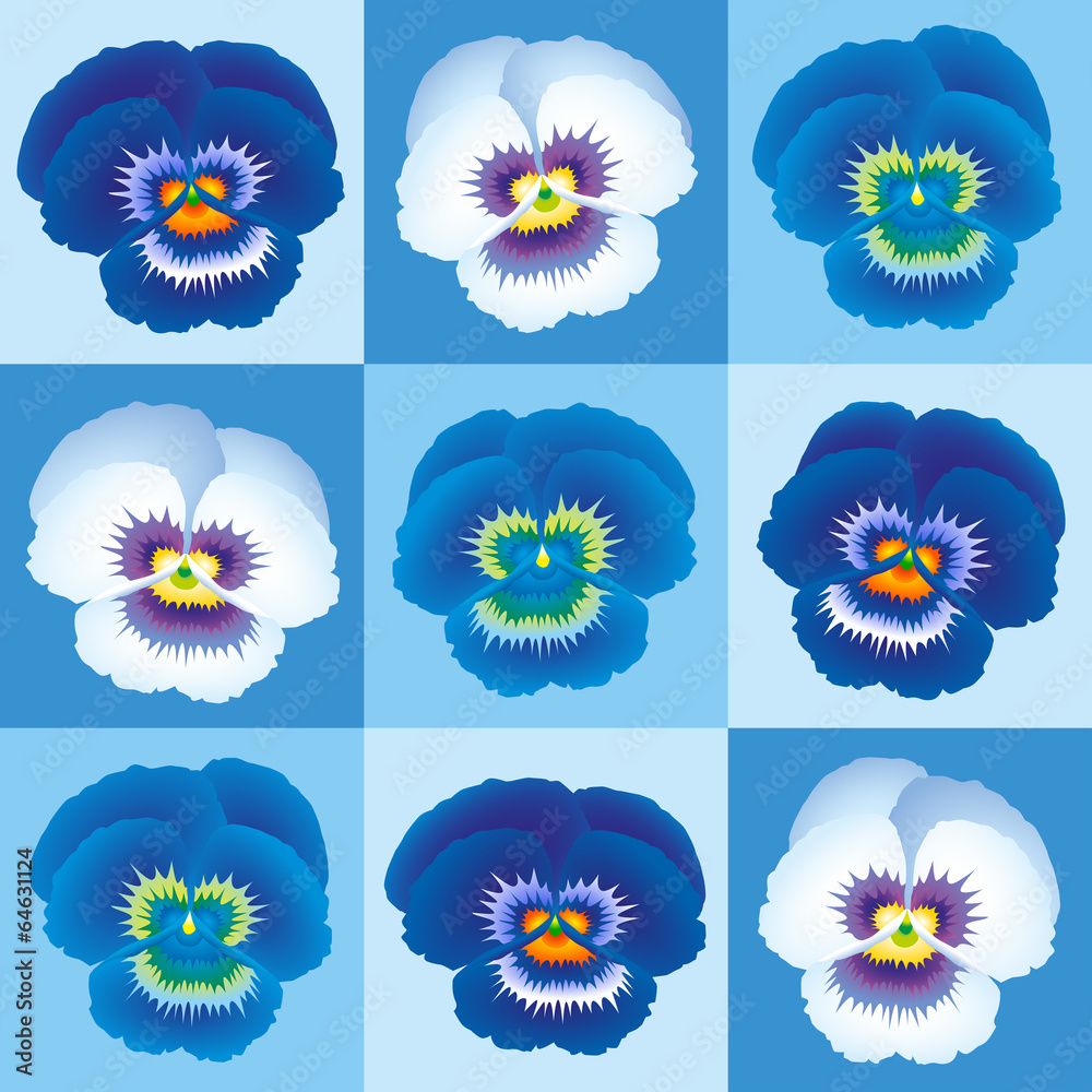 Pansy Blue Pansy Blue