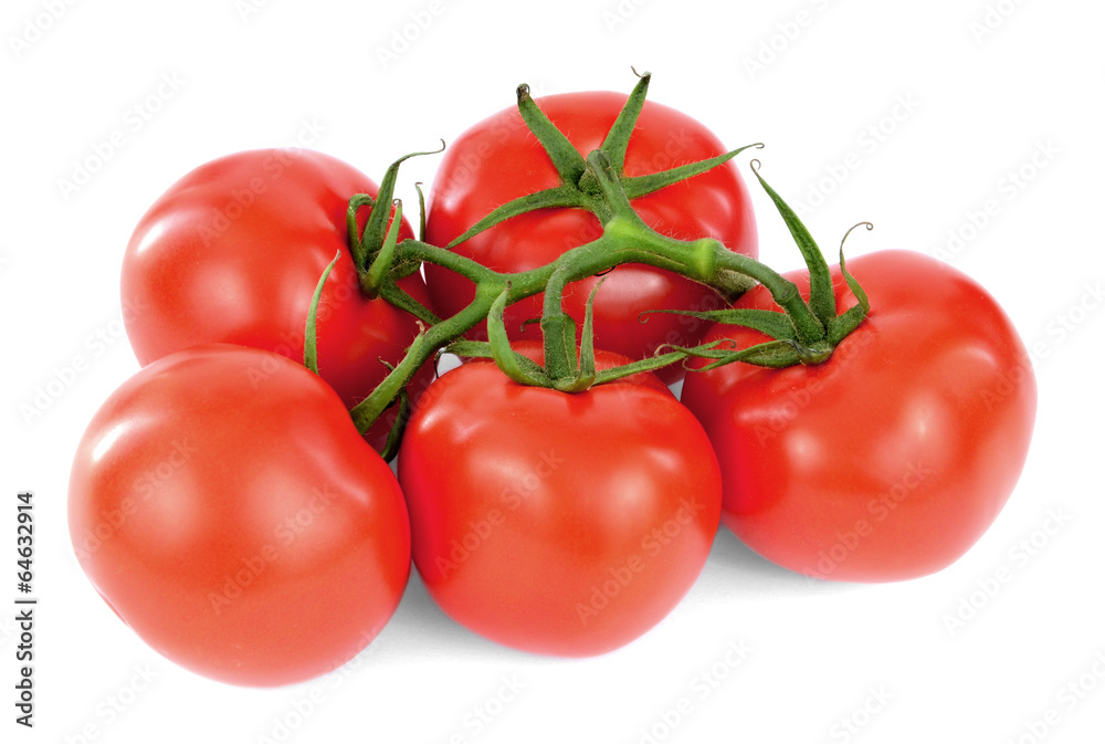fresh tomatoes with green leaves isolated on white background fresh tomatoes with green leaves isolated on white background