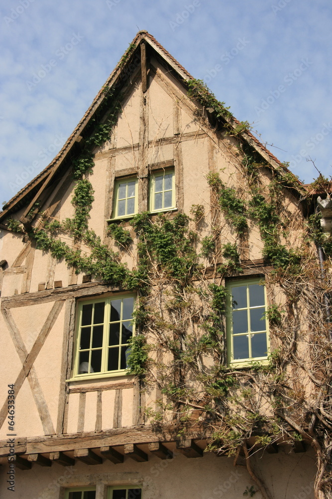 Half-timbered house Half-timbered house