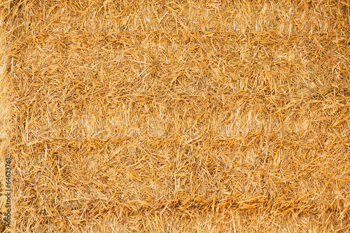 Obraz na płótnie Straw texture w salonie