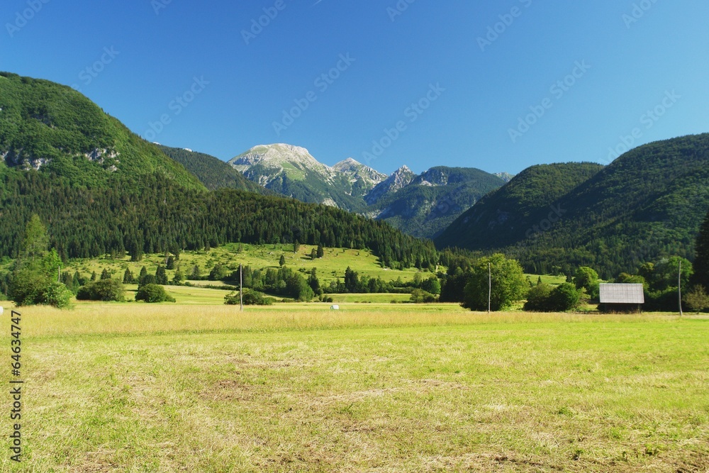 View from meadows on Triglav National Park, Slovenia
