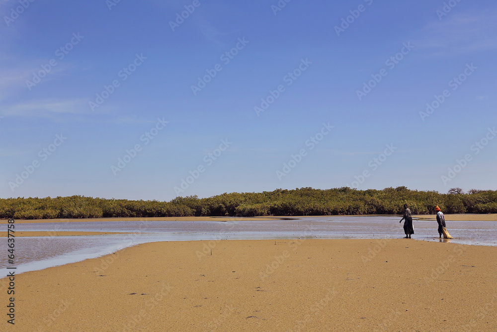 réserve naturelle de la Somone (Sénégal) réserve naturelle de la Somone (Sénégal)