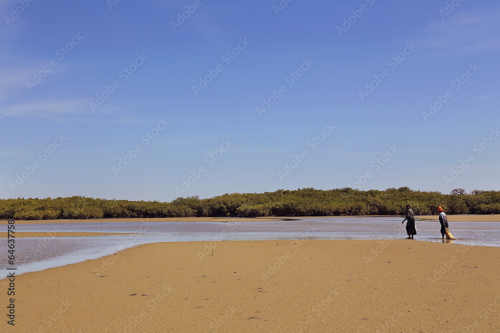 réserve naturelle de la Somone (Sénégal)