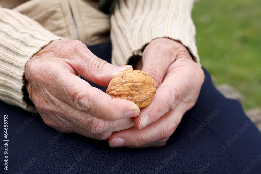 Holding walnuts Holding walnuts