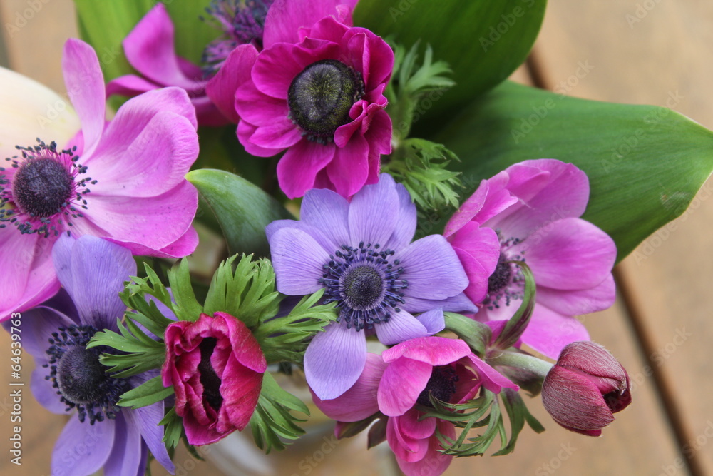 Fototapeta premium Anémones