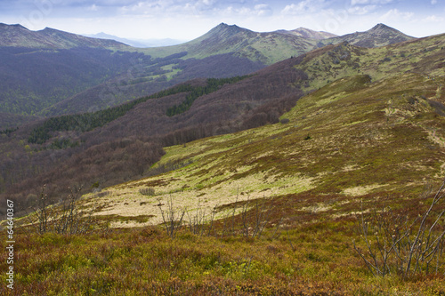 Fototapeta Naklejka Na Ścianę i Meble -  Bieszczady