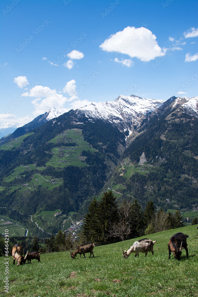 Bergalm, Südtirol, Italien