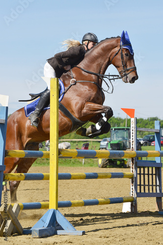 horse jumping © muro