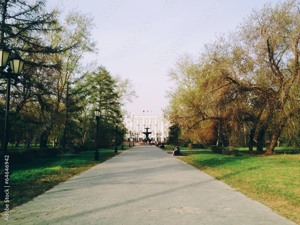 Road in park