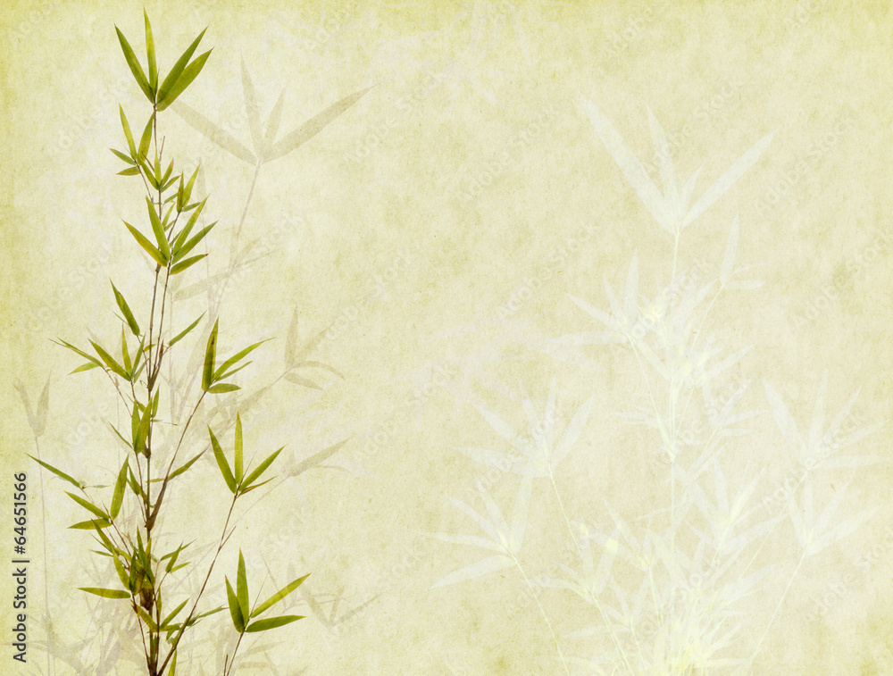 Fototapeta premium bambus na stary tło grunge tekstury papieru