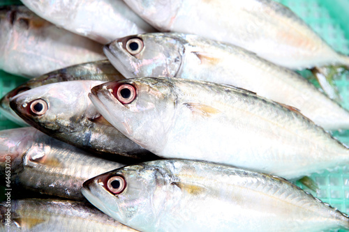 fresh mackerel fish ingredient. © meepoohyaphoto