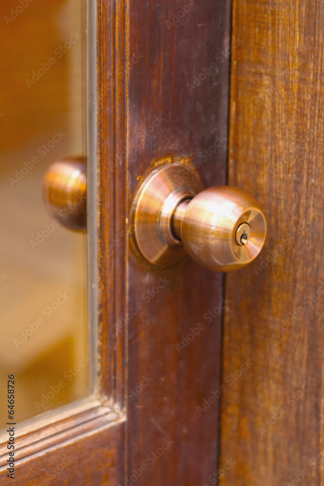 Obraz premium Bolt lock door - vintage style.