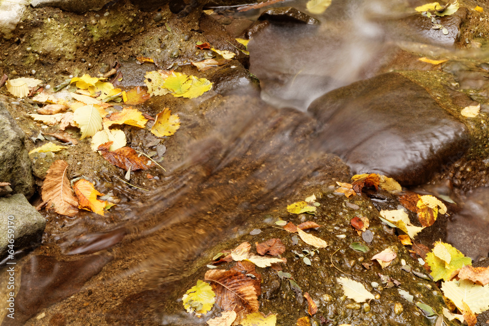 Obraz premium Lake in autumn