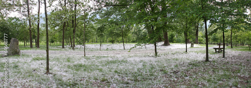 Photos white appearance...